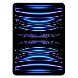 iPad Pro 12.9" 6th Gen (2022) 256GB Silver Unlocked - Pristine