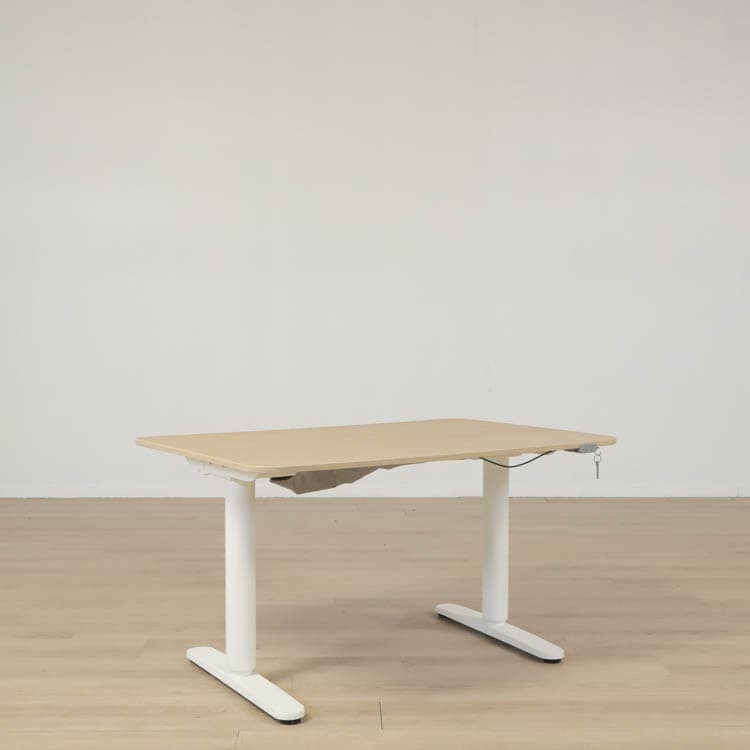 Elektriskt Höj-och sänkbart skrivbord  Bekant - Trä 120 cm