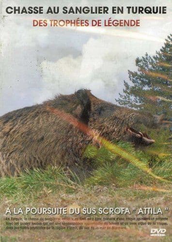 Chasse Au Sanglier En Turquie - Des Trophées De Légende