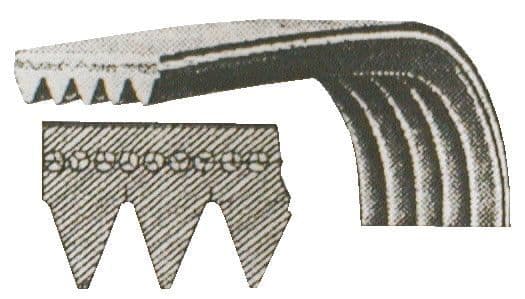 Courroie poly-v 1199 J5 Lave-linge (1462477009 ARTHUR MARTIN ELECTROLUX AEG ELECTROLUX FAURE ARTHUR MARTIN CURTISS ZANUSSI)