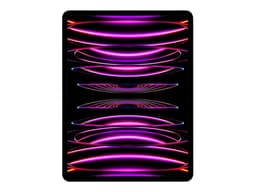 Tablette Apple iPad Pro M2 (2022) 12.9' Wi-Fi + Cellular 512 Go Gris sidéral