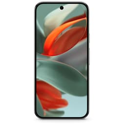 Google Pixel 9 Pro Vert Sauge 256 Go