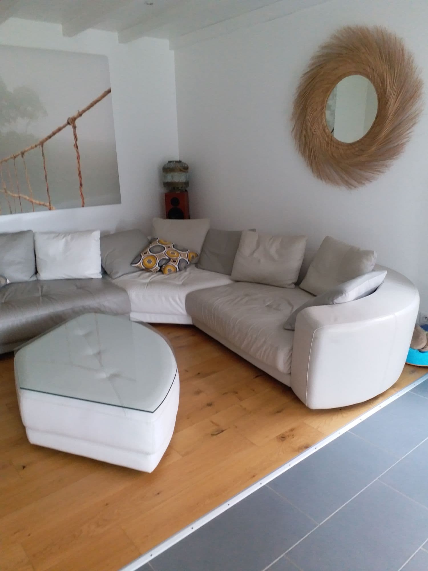 Canapé Cuir Roche Bobois