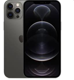 iPhone 12 Pro Max 256 Go Gris