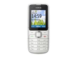Nokia C1-01 Gris chaleureux