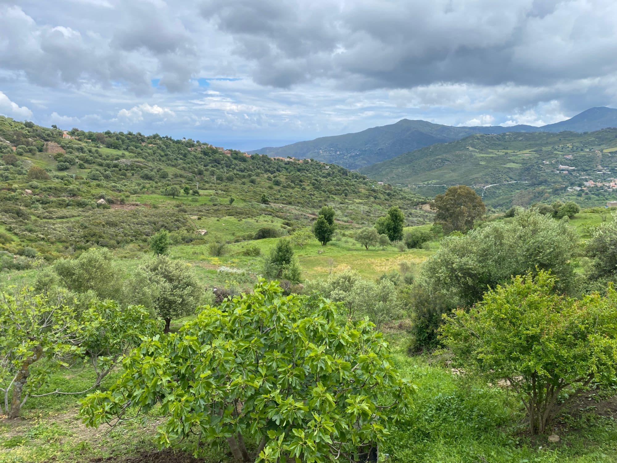 Canapé Convertible Ikea En Excellente État Général (Avec Espace De Rangement)