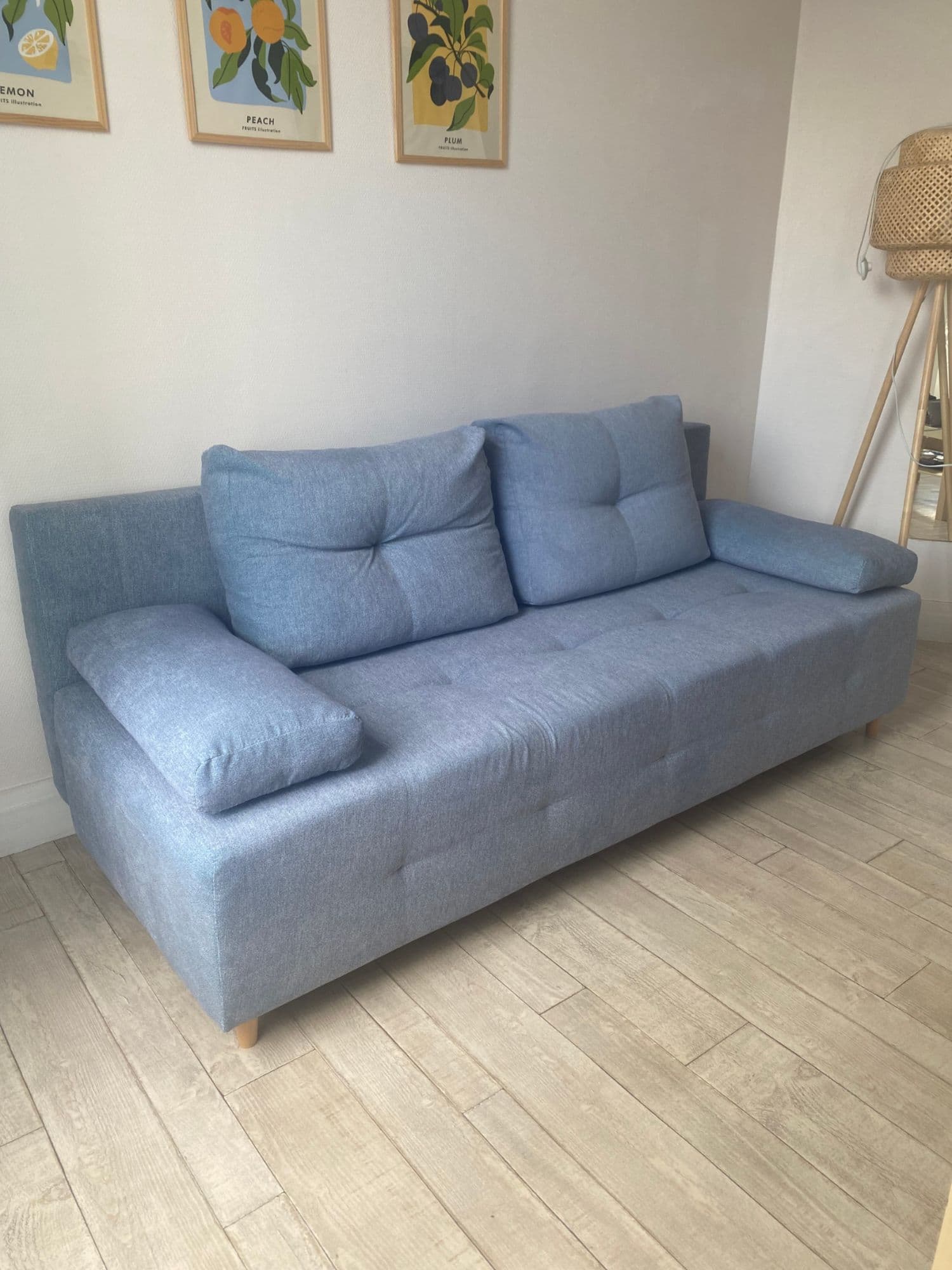 Canapé Lit Convertible Avec Coffre