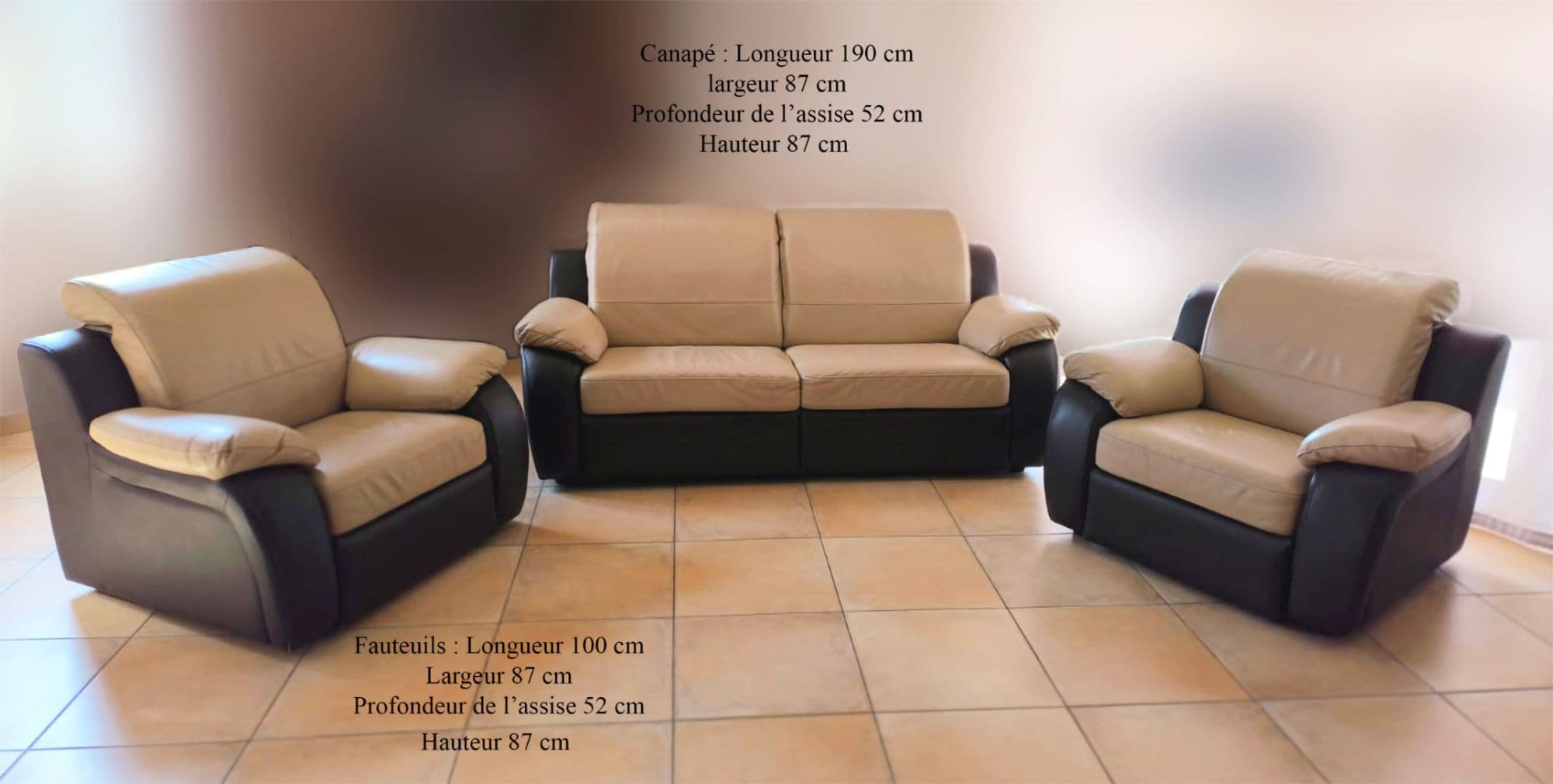 Salon Complet En Cuir