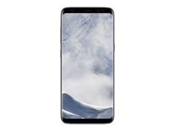 Samsung Galaxy S8+ 64 Go Argent polaire