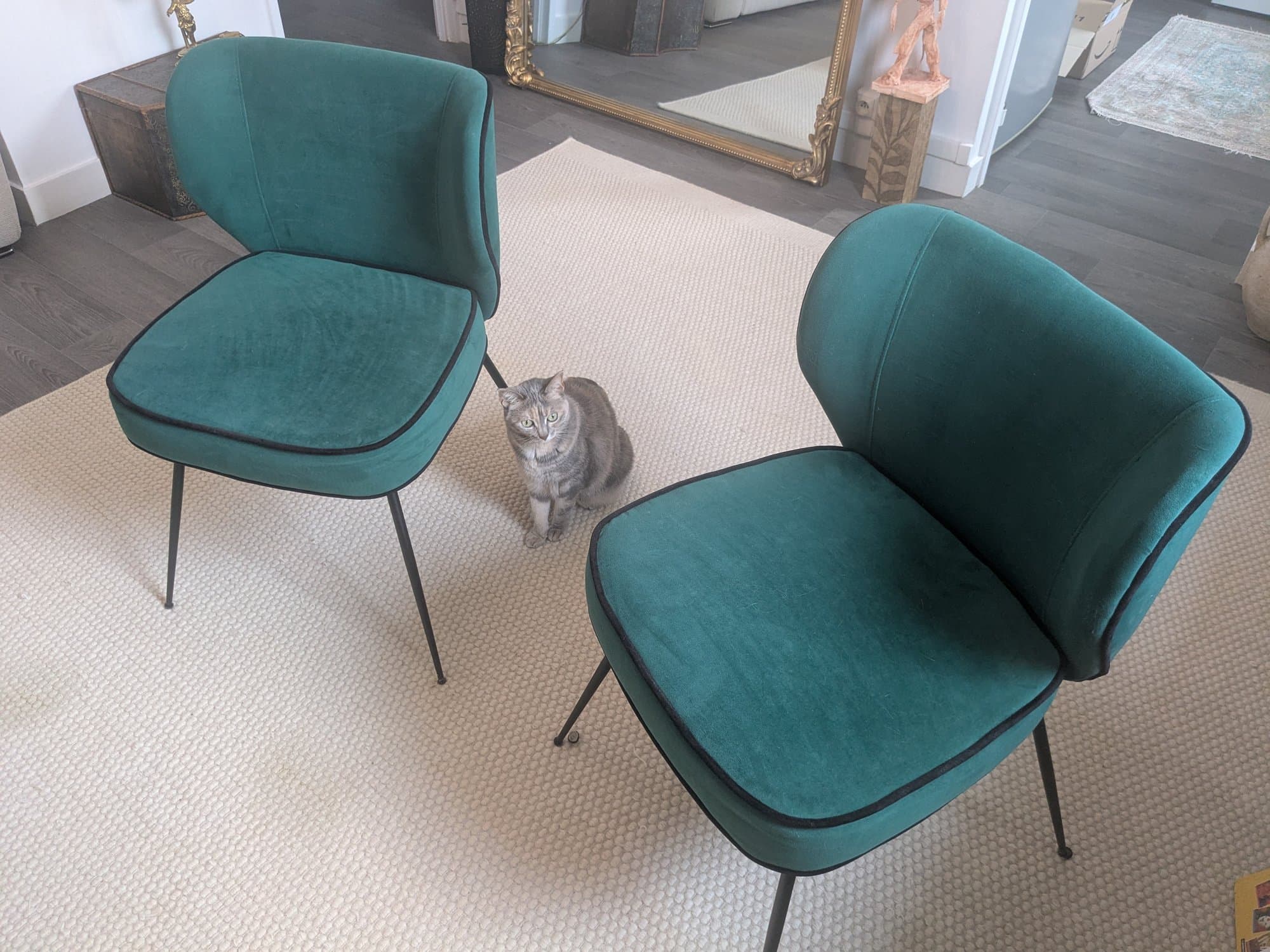 Lot 2 Chaises velours vert NV Gallery série Wayne