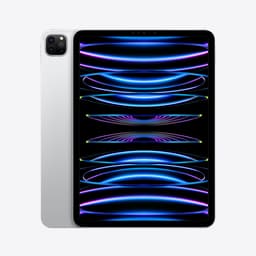 iPad Pro (Gen 4) 11" Wifi 512GB