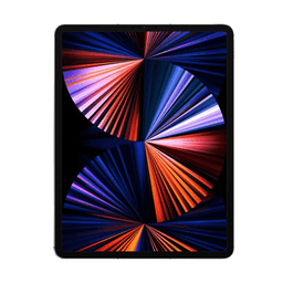 iPad Pro (2021) 12.9" 256GB Wifi + Cellular