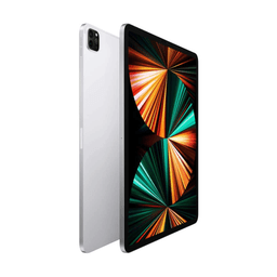 iPad Pro (2021) 12.9" 1TB Wifi + Cellular