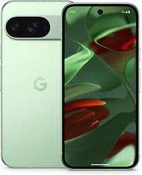 Google Pixel 9 Dual SIM 256GB wintergreen