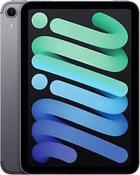 Apple iPad mini 7 8,3 256GB [Wi-Fi + Cellular] space grau