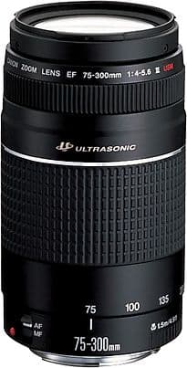 Canon EF 75-300 mm F4.0-5.6 USM III 58 mm Filtergewinde (Canon EF Anschluss) schwarz