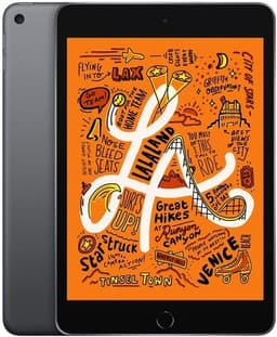 iPad mini (2019) 7.9" 256 GB rymdgrå