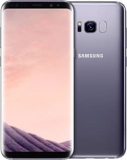 Samsung Galaxy S8+ 64 GB Dual-SIM grå