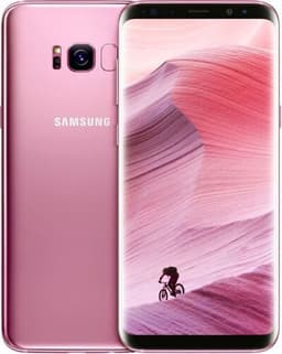 Samsung Galaxy S8+ 64 GB Single-SIM rosa