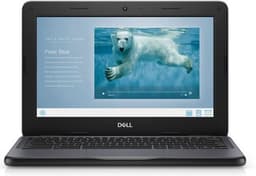 Dell Chromebook 3100 N4020 11.6" 4 GB 32 GB eMMC Chrome OS US