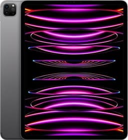 iPad Pro (2022) 12.9" 8 GB 128 GB 5G Rymdgrå