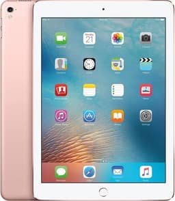 iPad mini (2019) 7.9" 256 GB roségold