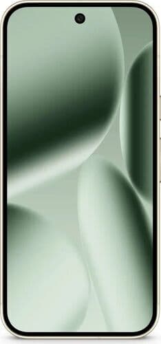 Google Pixel 10 Pro 256 GB Dual-SIM Jade