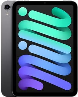 iPad mini (2021) 8.3" 64 GB rymdgrå