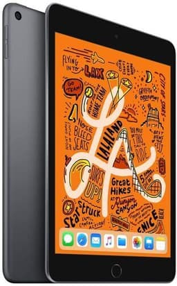 iPad mini (2019) 7.9" 64 GB rymdgrå