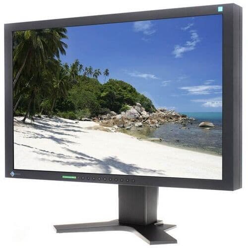 Eizo FlexScan S2433W 24" med stativ svart