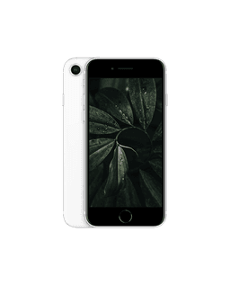 iPhone SE 2020 (2nd Gen) Vit / 64GB / Nyskick