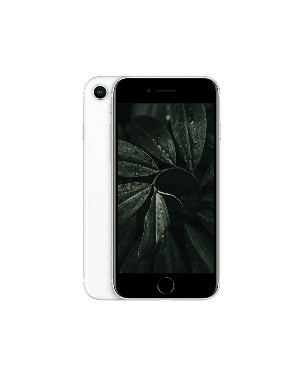iPhone SE 2020 (2nd Gen) Vit / 128GB / Nyskick