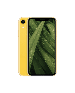 iPhone XR Gul / 64GB / Bra skick