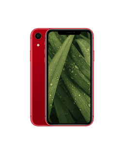 iPhone XR Röd / 128GB / Bra skick