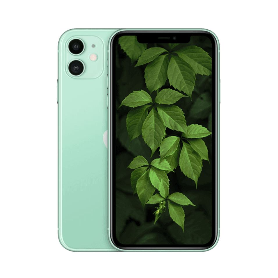 iPhone 11 Grön / 64GB / Nyskick
