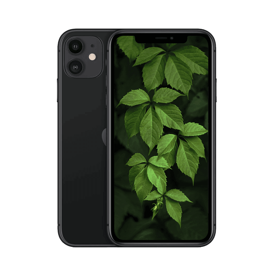 iPhone 11 Svart / 128GB / Nyskick