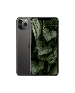iPhone 11 Pro Max Rymdgrå / 64GB / Bra skick