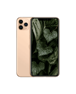 iPhone 11 Pro Max Guld / 256GB / Bra skick