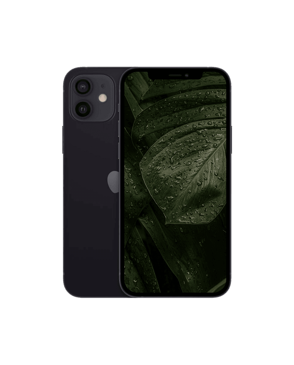 iPhone 12 Mini Svart / 64GB / Nyskick