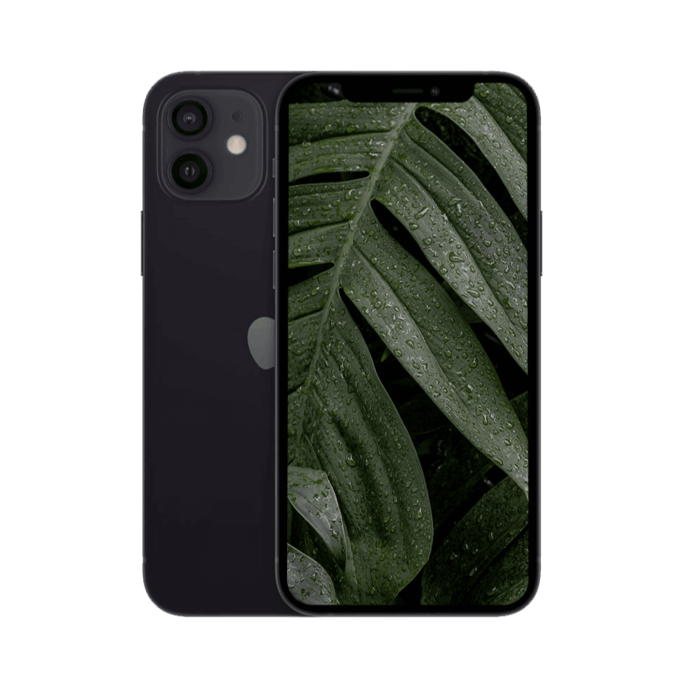 iPhone 12 Svart / 128GB / Nyskick