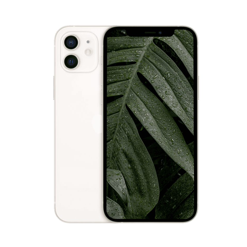 iPhone 12 Vit / 128GB / Nyskick