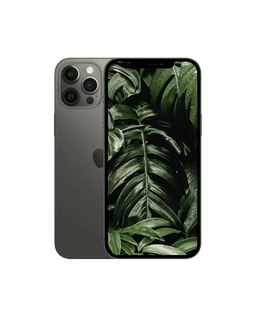 iPhone 12 Pro Grafit / 512GB / Okej skick