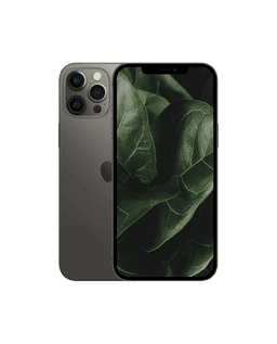 iPhone 12 Pro Max Grafit / 128GB / Bra skick