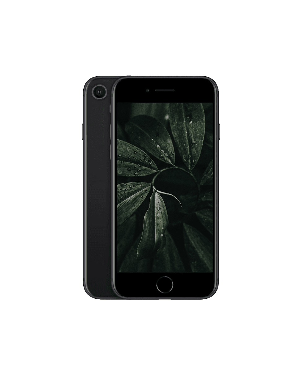 iPhone SE 2020 (2nd Gen) Svart / 256GB / Nyskick