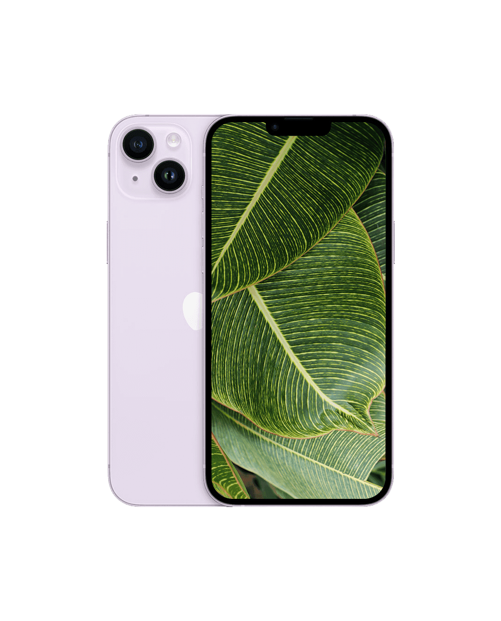 iPhone 14 Plus Lila / 128GB / Nyskick