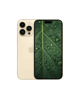 iPhone 14 Pro Max Guld / 128GB / Okej skick