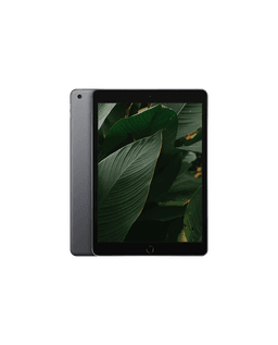 iPad 8 (2020) Wi-Fi + 4G Rymdgrå / 32GB / Nyskick