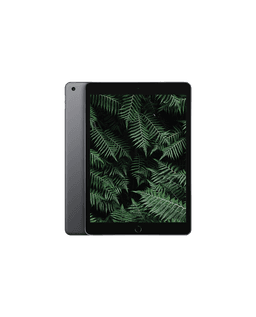 iPad 9 (2021) Wi-Fi Rymdgrå / 256GB / Bra skick