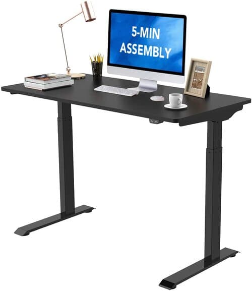 FlexiSpot EC9B Vici Sit/Stand Desk
