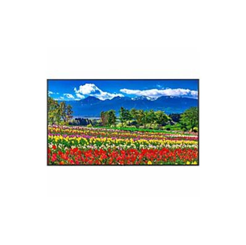 Sharp NEC Monitor 75" Ultra High Definition Professional Monitor - 75" LCD - High Dynamic Range (HDR) - 3840 x 2160 - Direct LED - 500 Nit - 2160p - H